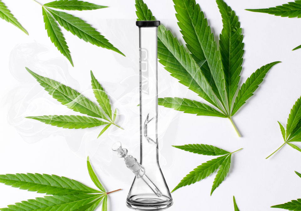 Best Bong For Weed