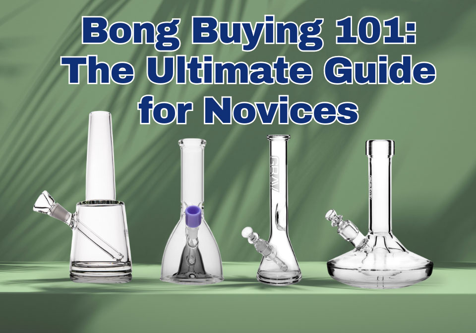 Bong Buying 101 The Ultimate Guide for Novices 2