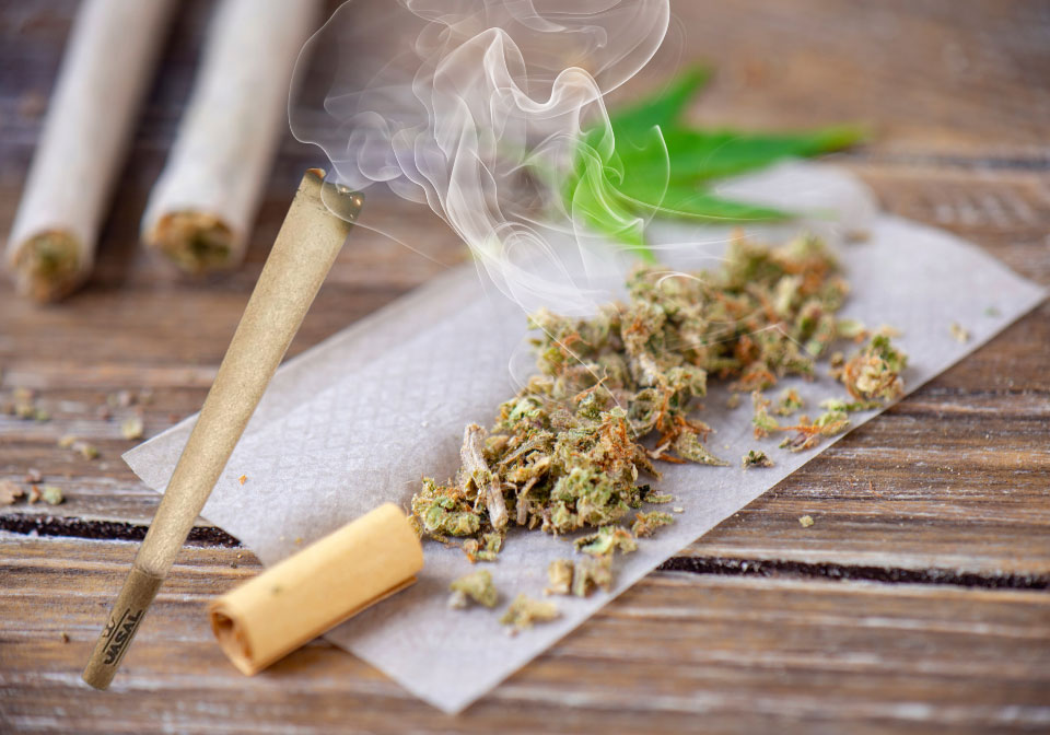 Rolling Papers Reviewed Finding the Best for Your Bud