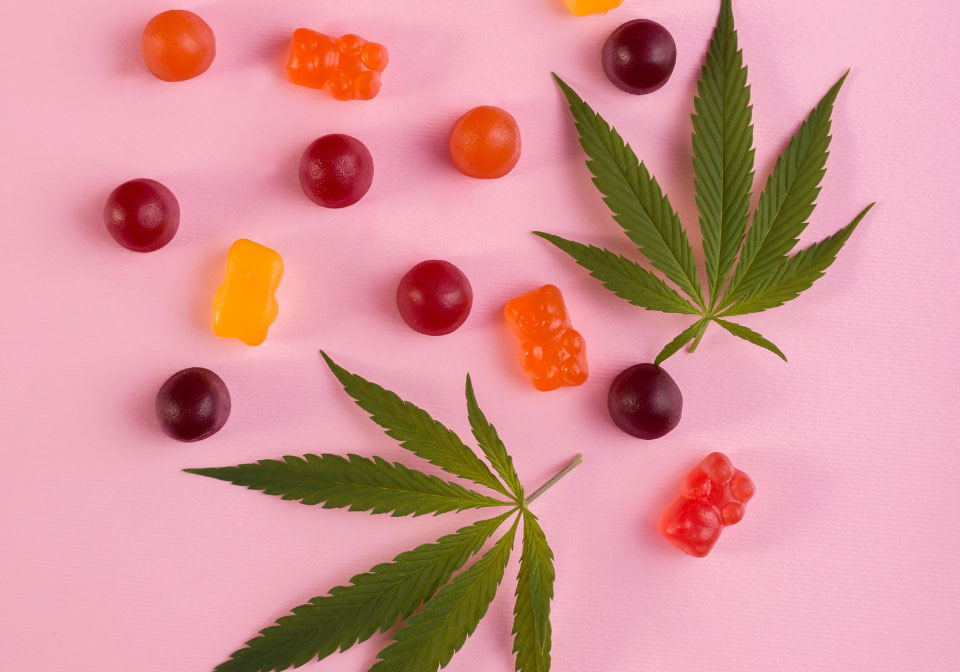 The Rise of Cannabis Infused Gummies A Quick Guide to Edible Delights