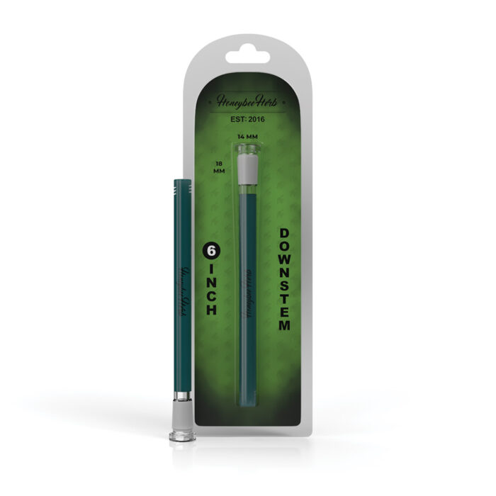 HONEYBEE HERB COLOR POP DOWNSTEM 6IN TEAL.jpg