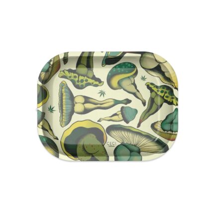 Rolling Tray with Magnetic Lid Mush Love by Cecilia Granata scaled 1.jpg