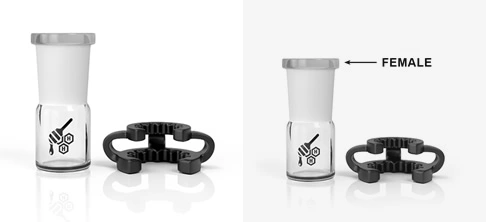 Honeybee Herb – Reclaim Replacement Dish