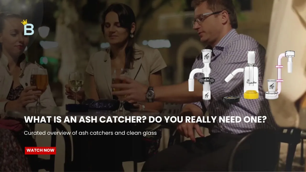 What Is an Ash Catcher?